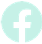 OrpheLink icon